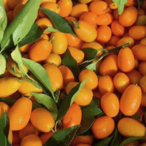 Laranja Kinkan (500 g)