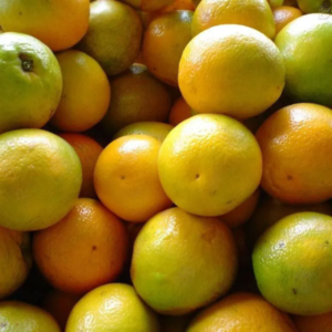 Laranja Pera (1/2 dúzia)