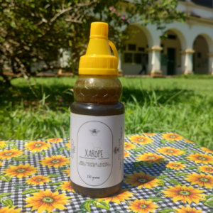 Xarope de Mel (200 g) – Sítio Caçador