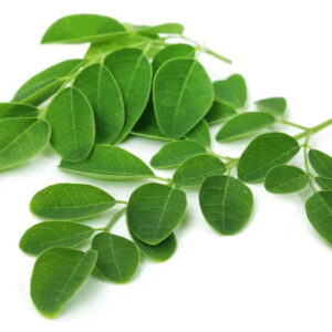 Folhas de Moringa (maço)