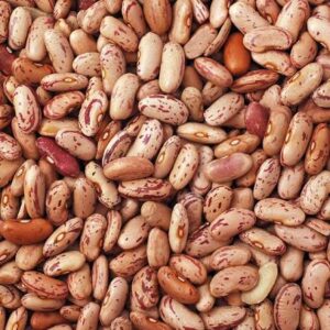 Feijão manteiga (500 g) – Sítio Santa Bárbara