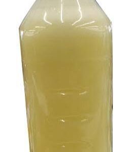 Suco de Araça Boi (300 mL) – Sítio Santa Bárbara